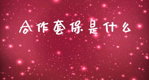 合作套保是什么_https://www.kuaijiepai.net_投资理财_第1张