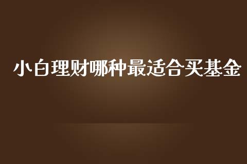 小白理财哪种最适合买基金_https://www.kuaijiepai.net_投资理财_第1张