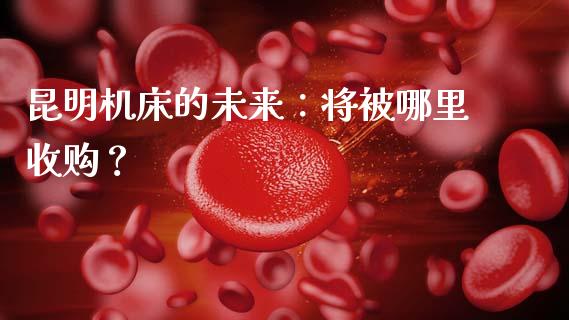 昆明机床的未来：将被哪里收购？_https://www.kuaijiepai.net_期货理财_第1张