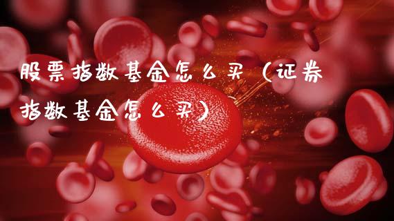 股票指数基金怎么买（证券指数基金怎么买）_https://www.kuaijiepai.net_期货理财_第1张