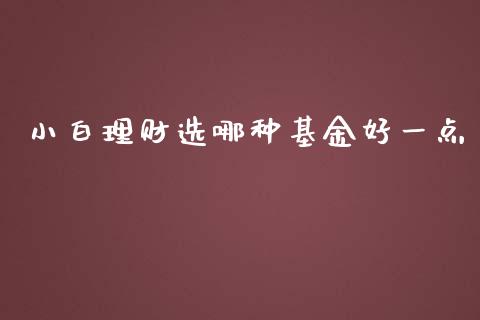 小白理财选哪种基金好一点_https://www.kuaijiepai.net_期货理财_第1张