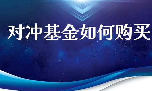 对冲基金如何购买_https://www.kuaijiepai.net_国际股建_第1张