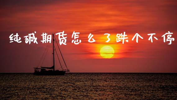 纯碱期货怎么了跌个不停_https://www.kuaijiepai.net_股票理论_第1张