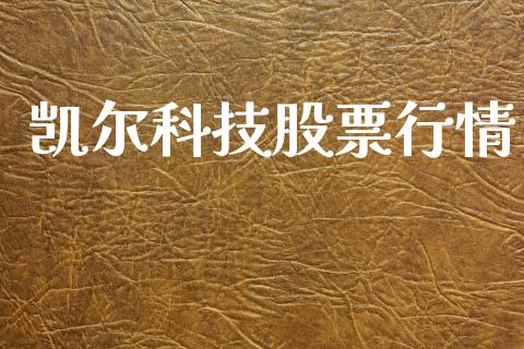凯尔科技股票行情_https://www.kuaijiepai.net_股票理论_第1张