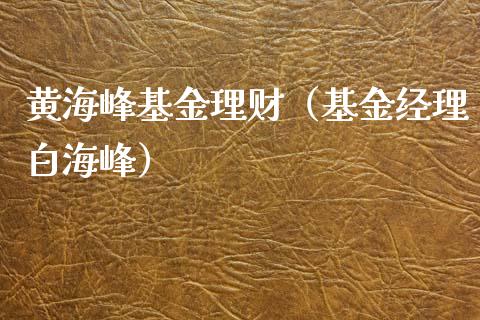 黄海峰基金理财（基金经理白海峰）_https://www.kuaijiepai.net_期货理财_第1张