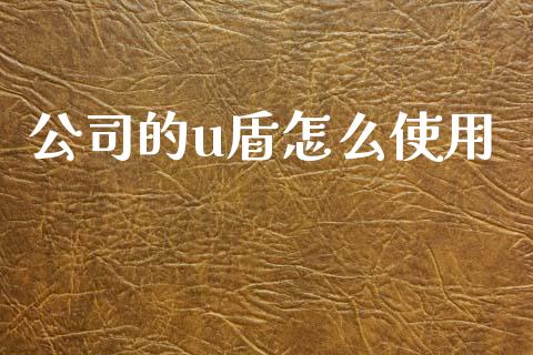 公司的u盾怎么使用_https://www.kuaijiepai.net_投资理财_第1张