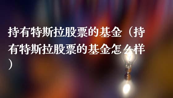 持有特斯拉股票的基金（持有特斯拉股票的基金怎么样）_https://www.kuaijiepai.net_国际股建_第1张