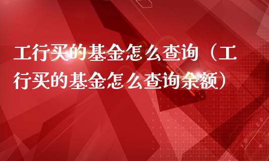 工行买的基金怎么查询（工行买的基金怎么查询余额）_https://www.kuaijiepai.net_期货理财_第1张