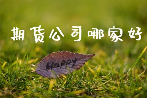 期货公司哪家好_https://www.kuaijiepai.net_期货在线_第1张