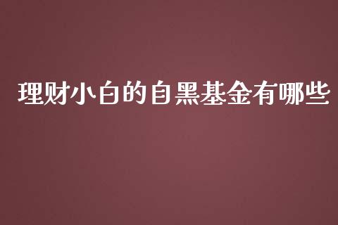理财小白的自黑基金有哪些_https://www.kuaijiepai.net_期货理财_第1张