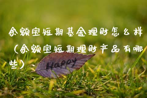 余额宝短期基金理财怎么样（余额宝短期理财产品有哪些）_https://www.kuaijiepai.net_期货理财_第1张
