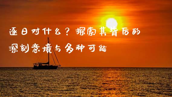 逐日对什么？探索其背后的深刻意境与多种可能_https://www.kuaijiepai.net_股票理论_第1张
