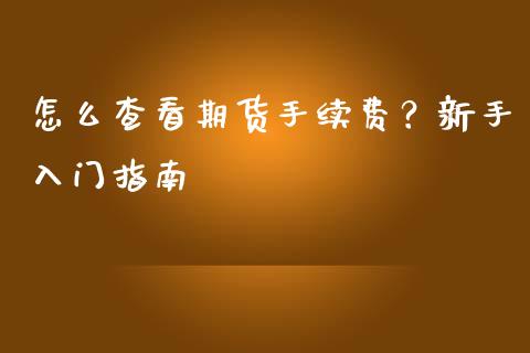 怎么查看期货手续费？新手入门指南_https://www.kuaijiepai.net_期货资讯_第1张
