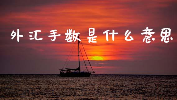 外汇手数是什么意思_https://www.kuaijiepai.net_期货理财_第1张