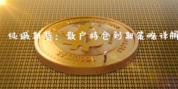 纯碱期货：散户持仓到期策略详解_https://www.kuaijiepai.net_投资理财_第1张