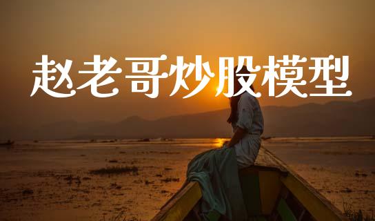 赵老哥炒股模型_https://www.kuaijiepai.net_国际期货_第1张