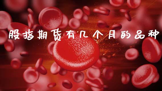 股指期货有几个月的品种_https://www.kuaijiepai.net_期货资讯_第1张