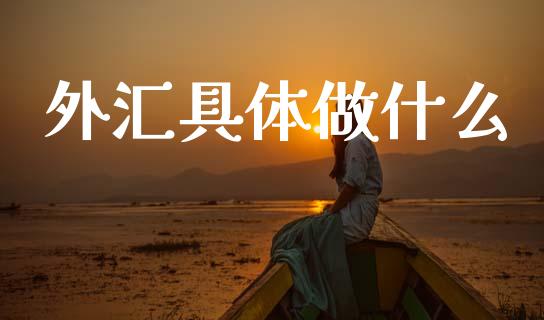 外汇具体做什么_https://www.kuaijiepai.net_股票理论_第1张