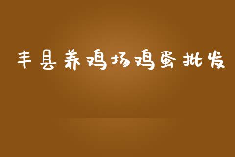丰县养鸡场鸡蛋批发_https://www.kuaijiepai.net_期货资讯_第1张