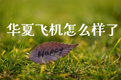 华夏飞机怎么样了_https://www.kuaijiepai.net_国际期货_第1张