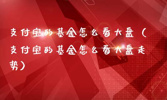 支付宝的基金怎么看大盘（支付宝的基金怎么看大盘走势）_https://www.kuaijiepai.net_投资理财_第1张