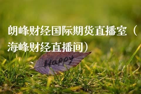 朗峰财经国际期货直播室（海峰财经直播间）_https://www.kuaijiepai.net_期货在线_第1张