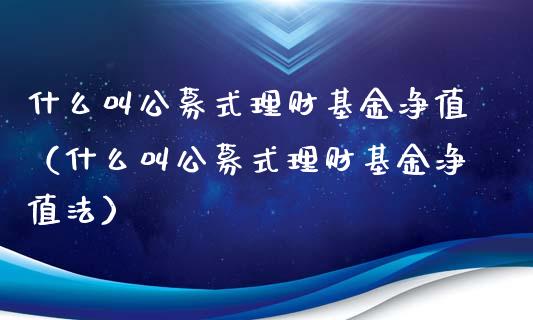 什么叫公募式理财基金净值（什么叫公募式理财基金净值法）_https://www.kuaijiepai.net_投资理财_第1张