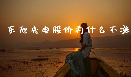 东旭光电股价为什么不涨_https://www.kuaijiepai.net_期货在线_第1张