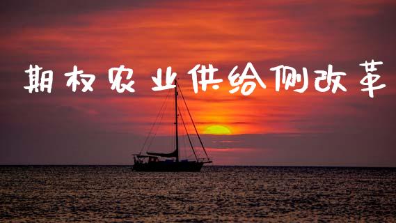 期权农业供给侧改革_https://www.kuaijiepai.net_国际股建_第1张