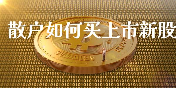 散户如何买上市新股_https://www.kuaijiepai.net_投资理财_第1张