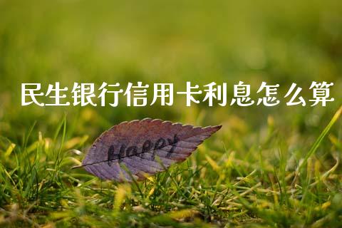 民生银行信用卡利息怎么算_https://www.kuaijiepai.net_新股新闻_第1张
