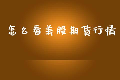 怎么看美股期货行情_https://www.kuaijiepai.net_期货资讯_第1张