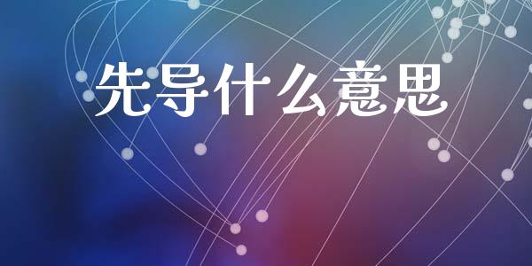 先导什么意思_https://www.kuaijiepai.net_期货资讯_第1张