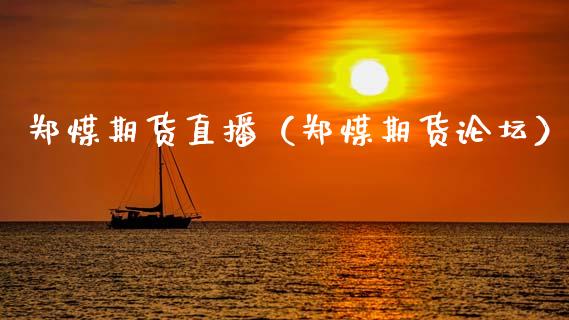 郑煤期货直播（郑煤期货论坛）_https://www.kuaijiepai.net_期货在线_第1张