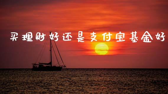 买理财好还是支付宝基金好_https://www.kuaijiepai.net_期货理财_第1张