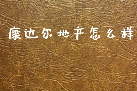康达尔地产怎么样_https://www.kuaijiepai.net_股票理论_第1张