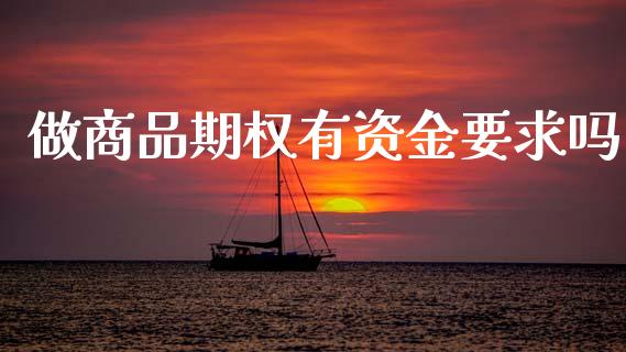 做商品期权有资金要求吗_https://www.kuaijiepai.net_期货资讯_第1张
