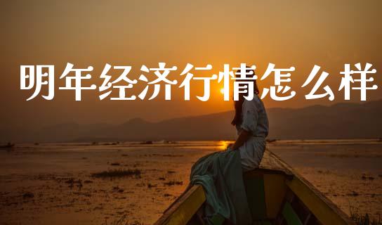 明年经济行情怎么样_https://www.kuaijiepai.net_期货资讯_第1张