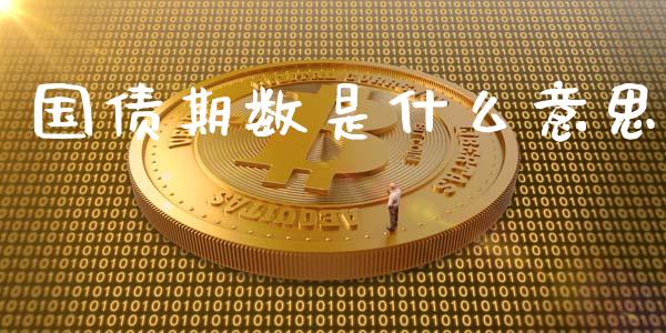 国债期数是什么意思_https://www.kuaijiepai.net_股票理论_第1张