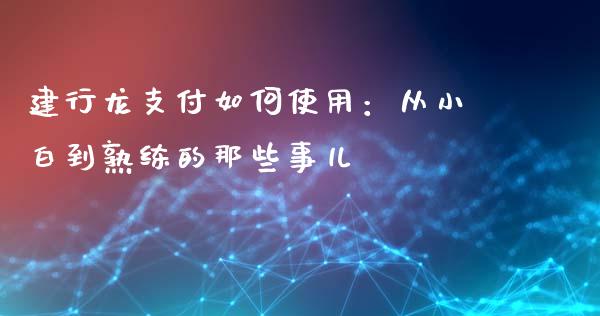建行龙支付如何使用：从小白到熟练的那些事儿_https://www.kuaijiepai.net_股票理论_第1张
