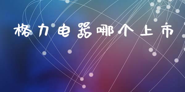 格力电器哪个上市_https://www.kuaijiepai.net_期货在线_第1张