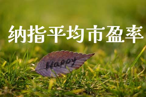 纳指平均市盈率_https://www.kuaijiepai.net_国际期货_第1张