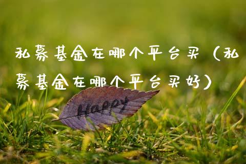 私募基金在哪个平台买（私募基金在哪个平台买好）_https://www.kuaijiepai.net_投资理财_第1张