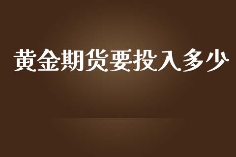 黄金期货要投入多少_https://www.kuaijiepai.net_期货资讯_第1张