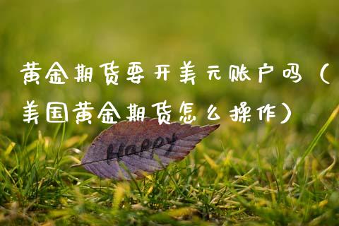 黄金期货要开美元账户吗（美国黄金期货怎么操作）_https://www.kuaijiepai.net_国际期货_第1张