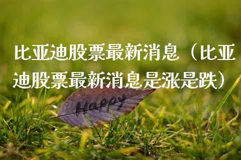 比亚迪股票最新消息（比亚迪股票最新消息是涨是跌）_https://www.kuaijiepai.net_股票理论_第1张