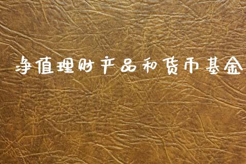净值理财产品和货币基金_https://www.kuaijiepai.net_期货理财_第1张