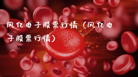 风亿电子股票行情（风亿电子股票行情）_https://www.kuaijiepai.net_新股新闻_第1张