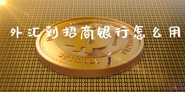 外汇到招商银行怎么用_https://www.kuaijiepai.net_投资理财_第1张