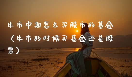 牛市中期怎么买股市的基金（牛市的时候买基金还是股票）_https://www.kuaijiepai.net_期货理财_第1张